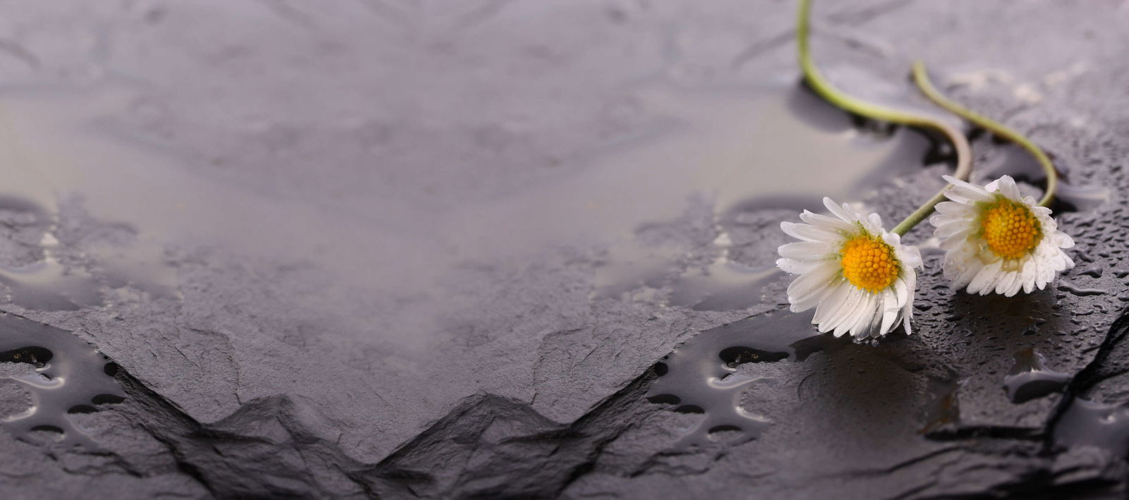 livingwalls Fototapete XXLwallpaper 3