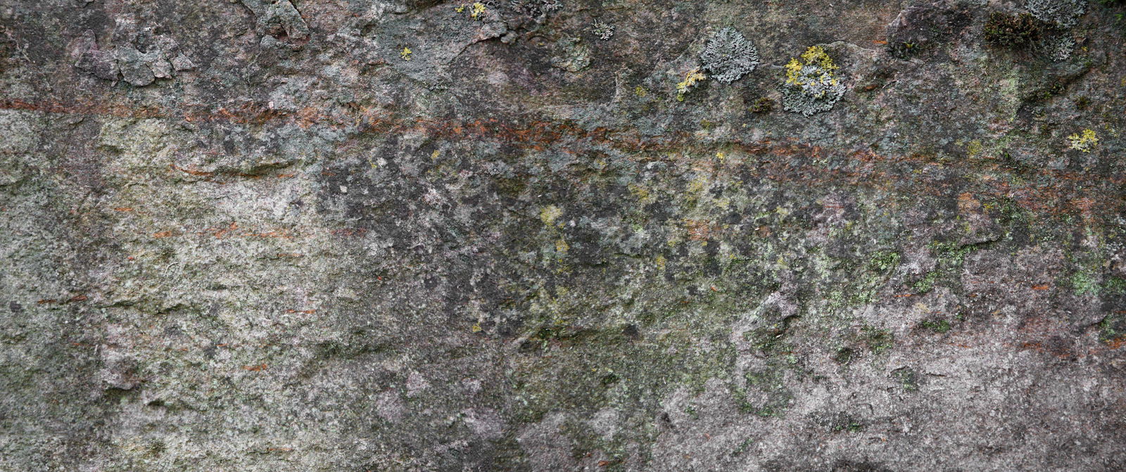 Architects Paper Photo wallpaper AP Digital 4