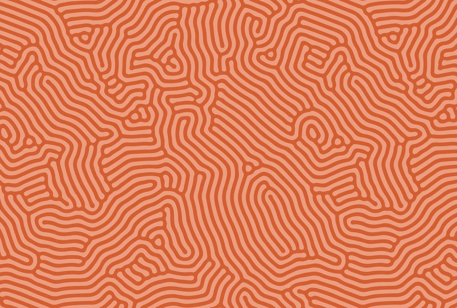 walls by patel Фотообои Walls by Patel 3