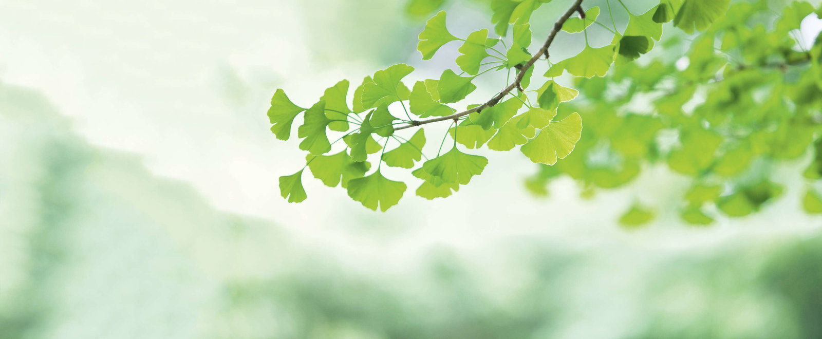 Architects Paper Фотообои AP Digital