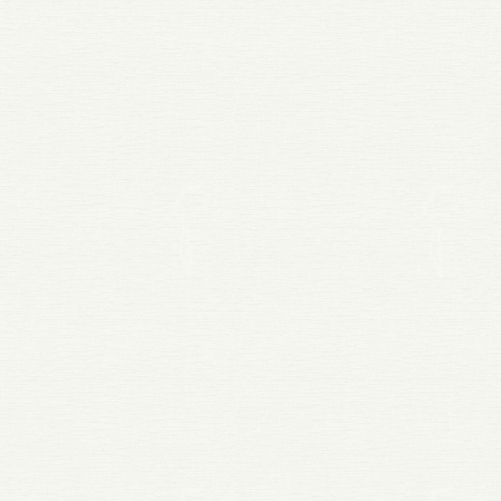 A.S. Création Tapete Meistervlies Create A.S. Création Tapete Meistervlies Create