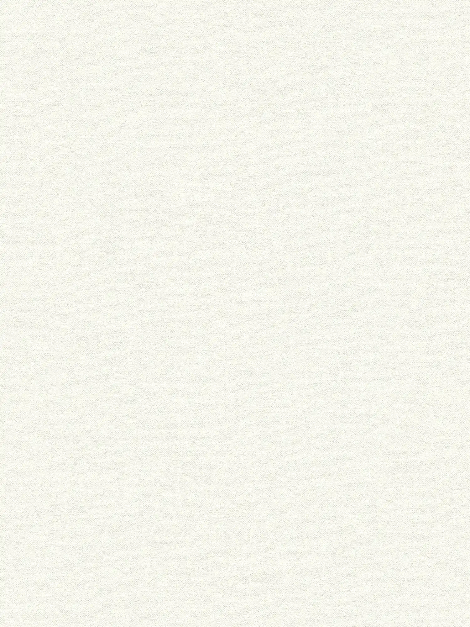 A.S. Création Tapete Shades of White