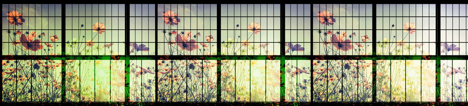 walls by patel Fotobehang Walls by Patel 2