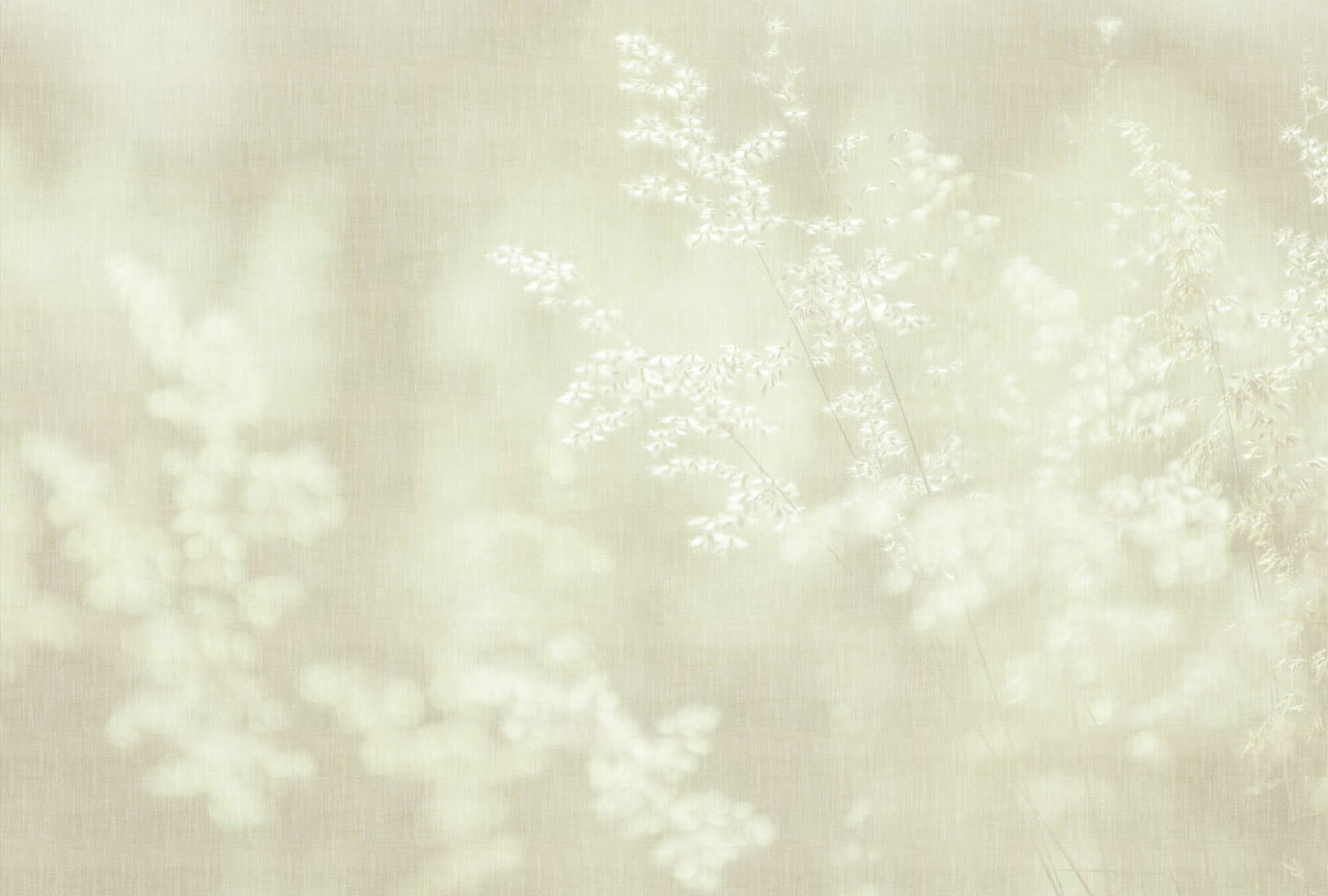 walls by patel Photo wallpaper Walls by Patel 5