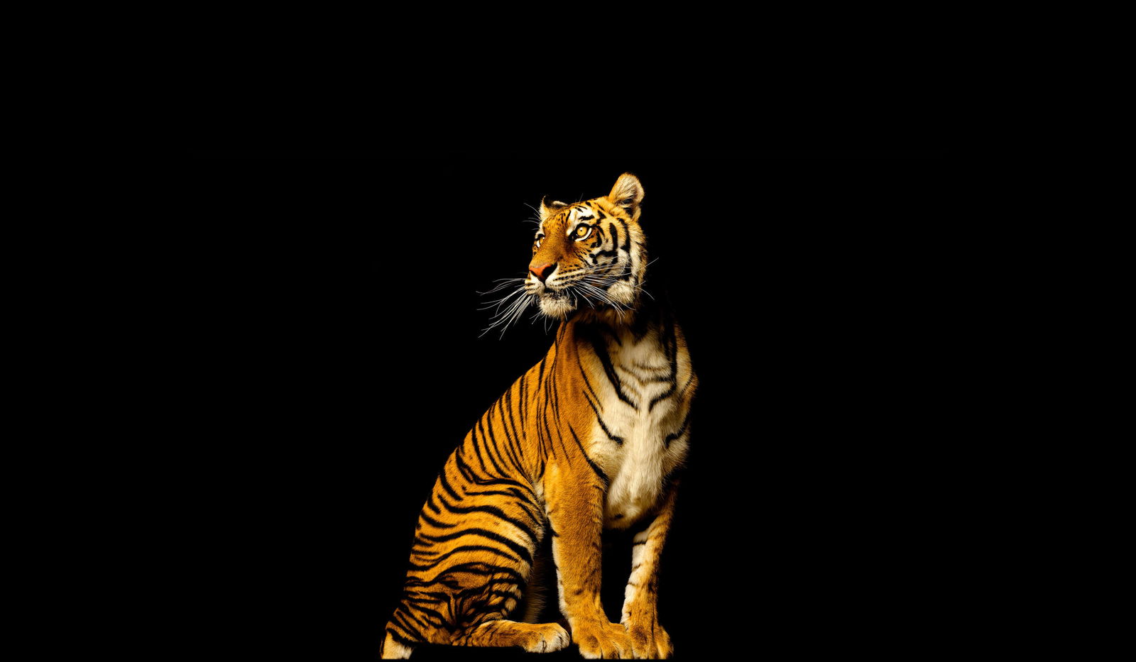 Architects Paper Фотообои AP Digital