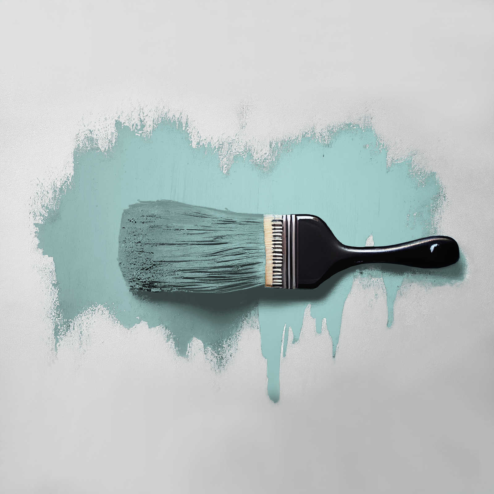 The Color Kitchen Kleur Color Kitchen