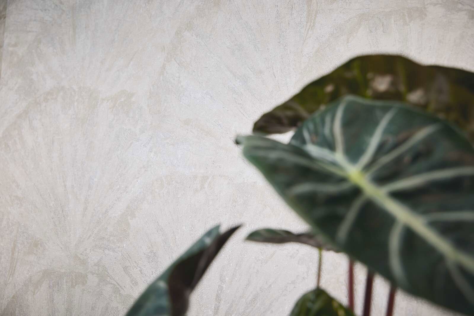 livingwalls Behang Hot Spots