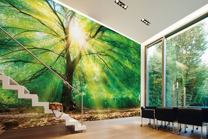 livingwalls Fototapete Designwalls