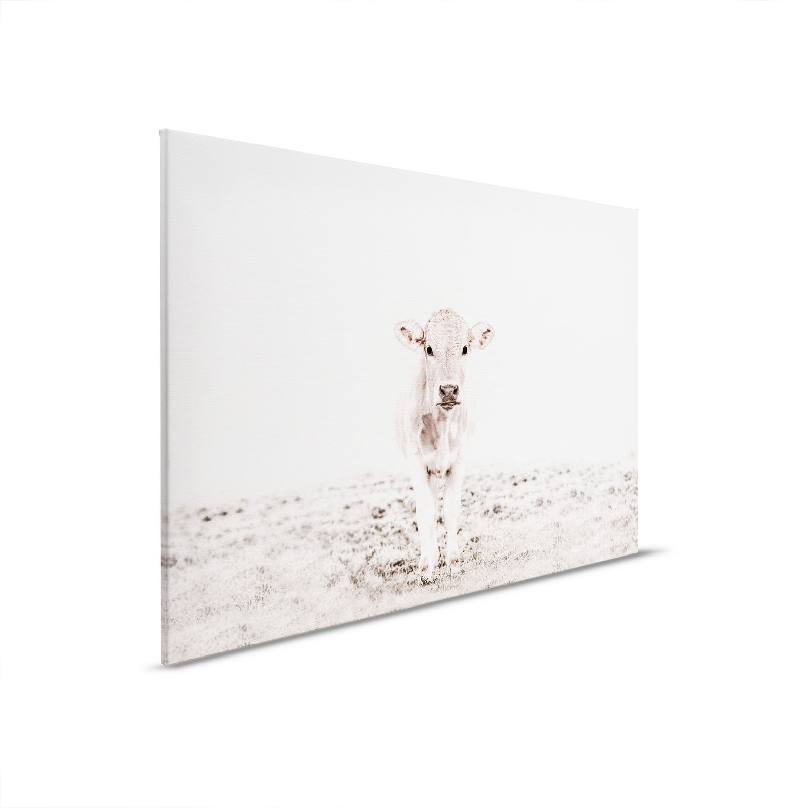 livingwalls tableau sur toile ARTist