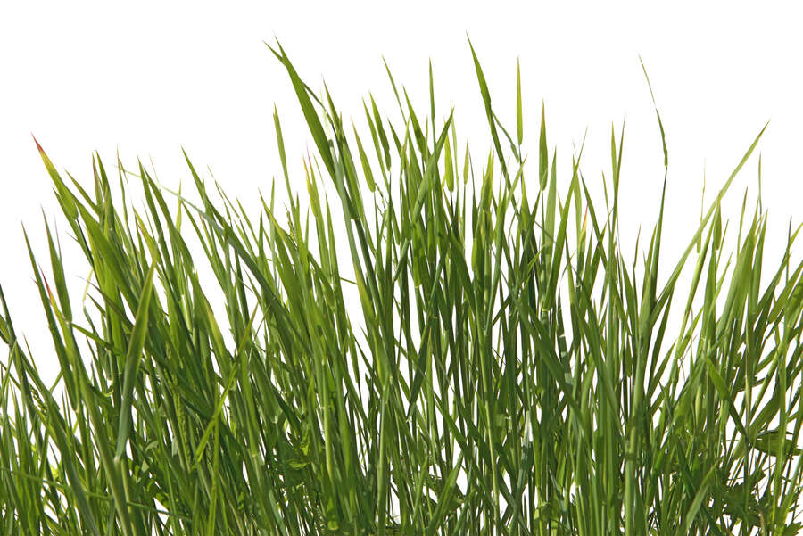 A.S. Création Fototapete Wall Love A.S. Création Fototapete Wall Love