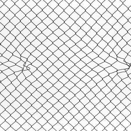 Architects Paper Photo wallpaper AP Digital 3