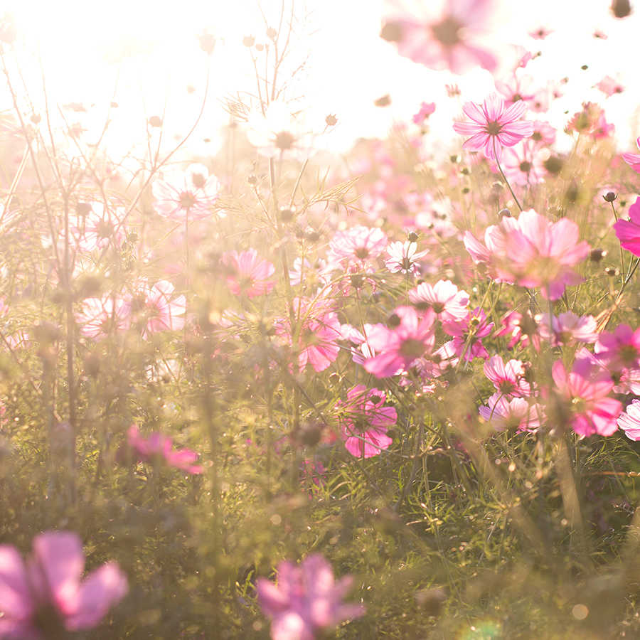 livingwalls Fotobehang XXL unique