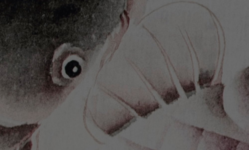 walls by patel impression numérique Walls by Patel