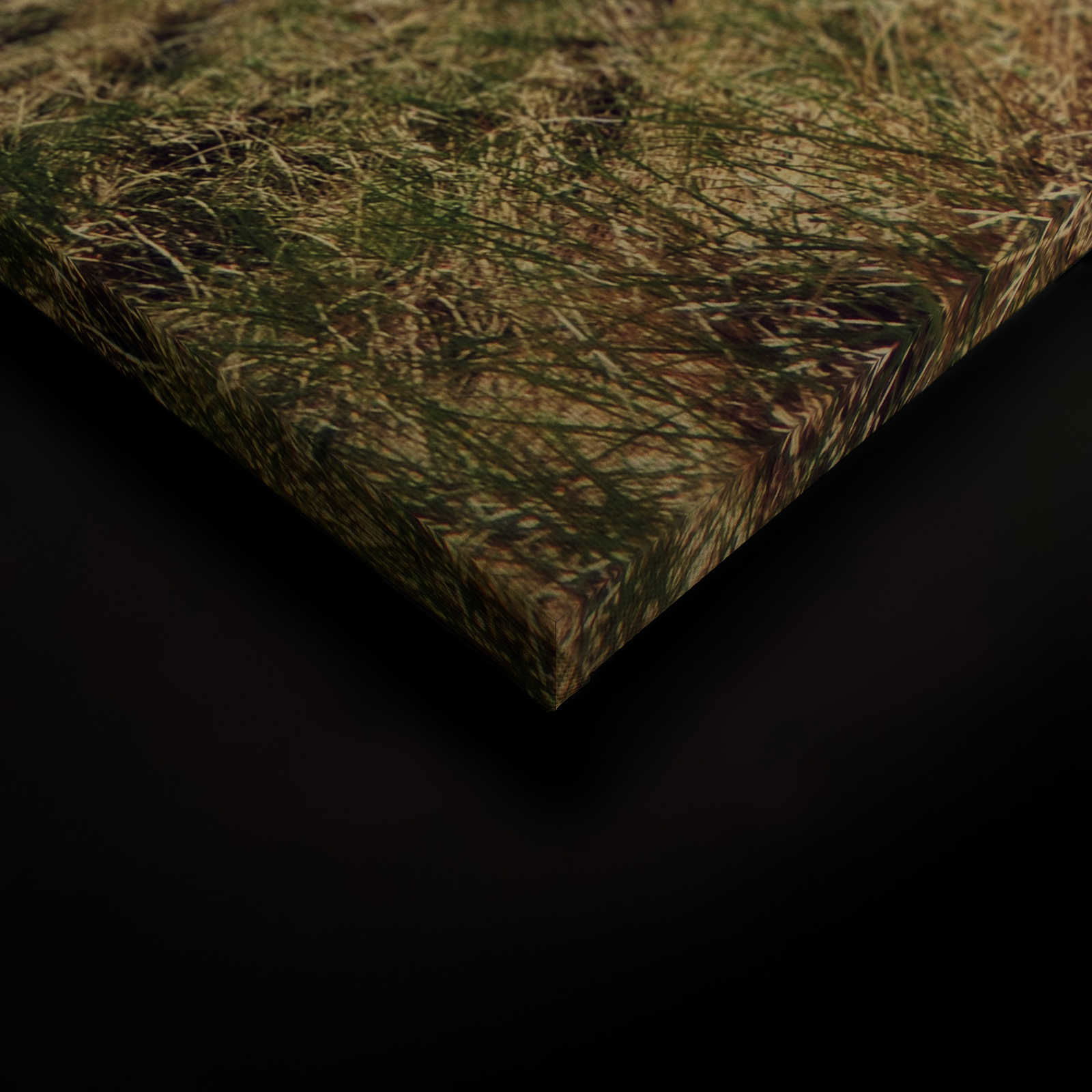 livingwalls tableau sur toile Designwalls livingwalls tableau sur toile Designwalls