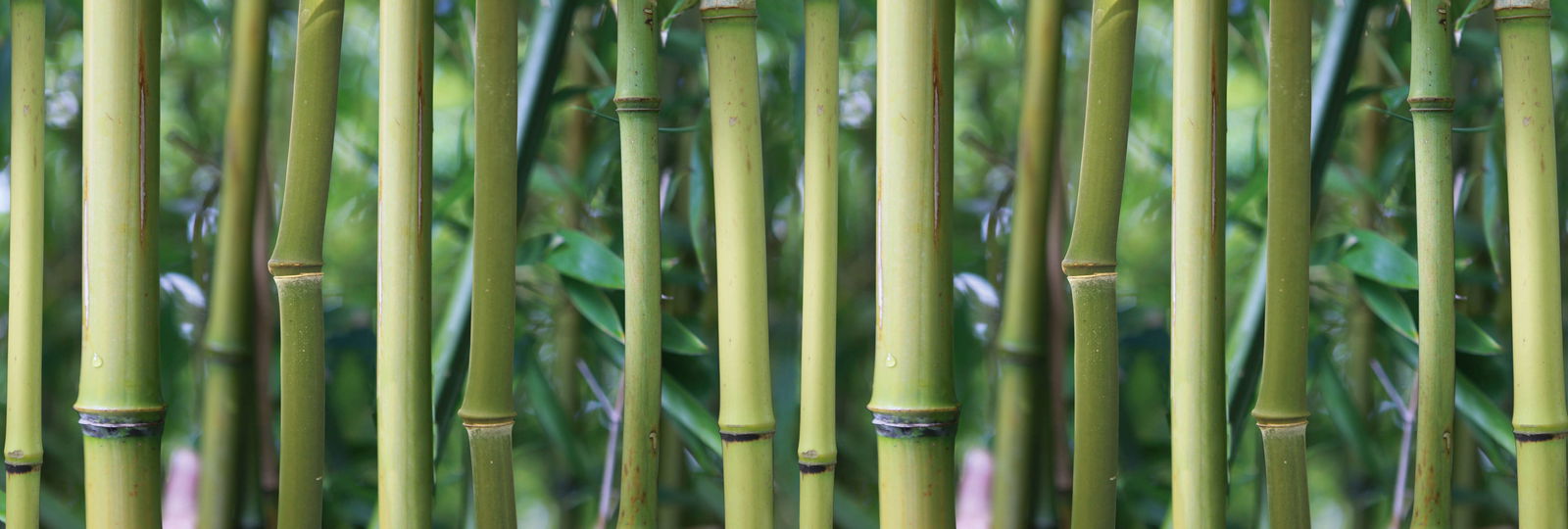 Architects Paper impression numérique AP Digital