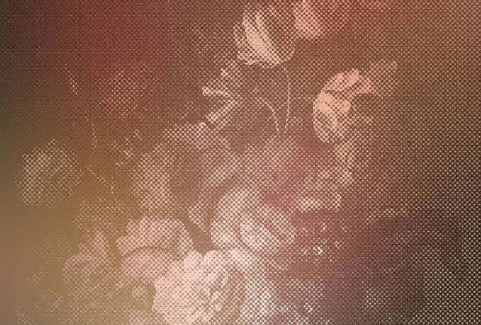 walls by patel Photo wallpaper Walls by Patel 2