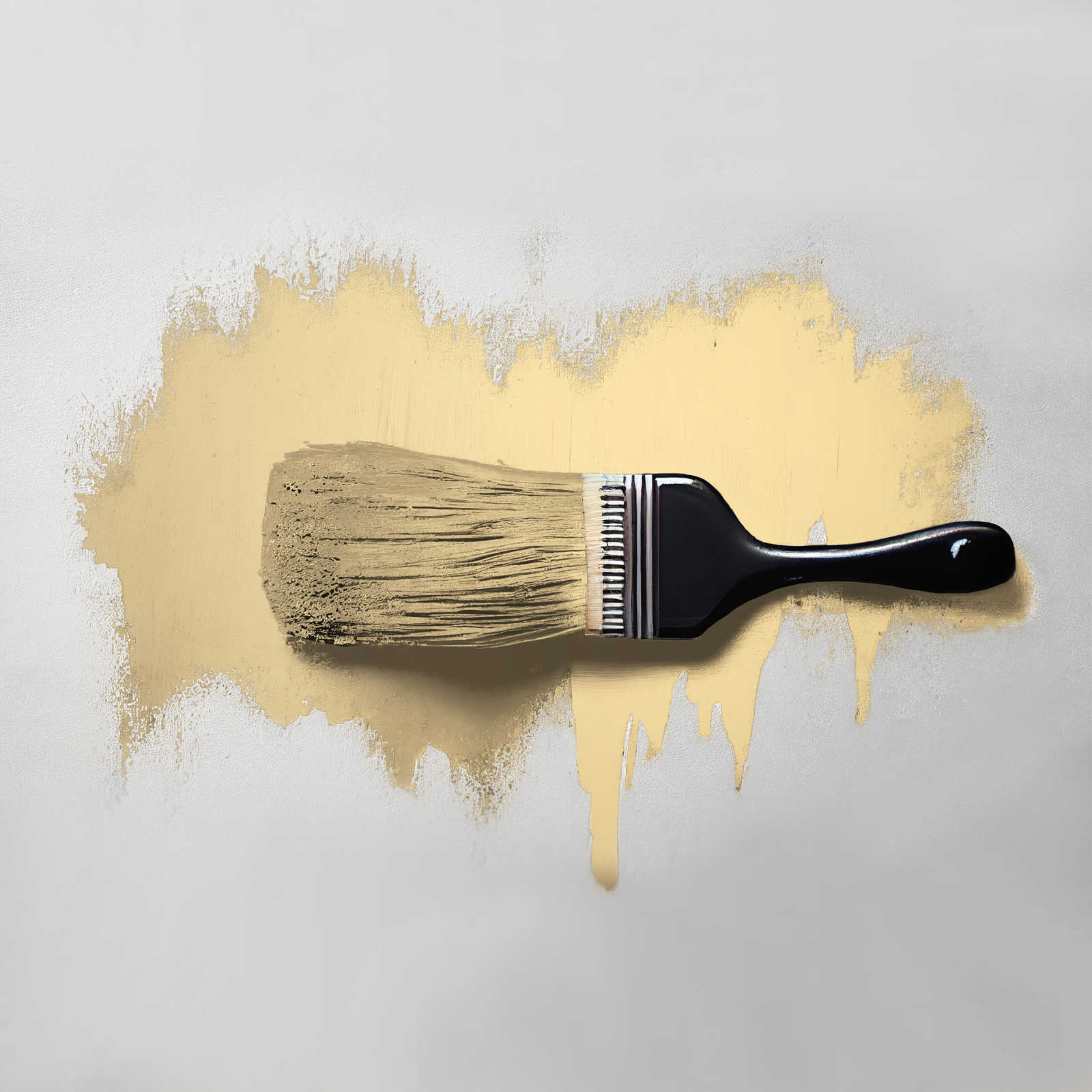 The Color Kitchen Kleur Color Kitchen