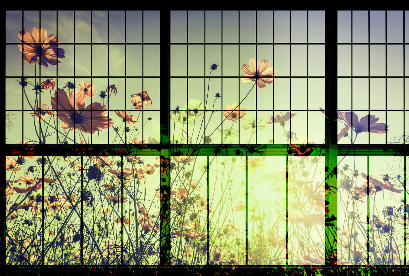 walls by patel Fotobehang Walls by Patel 2