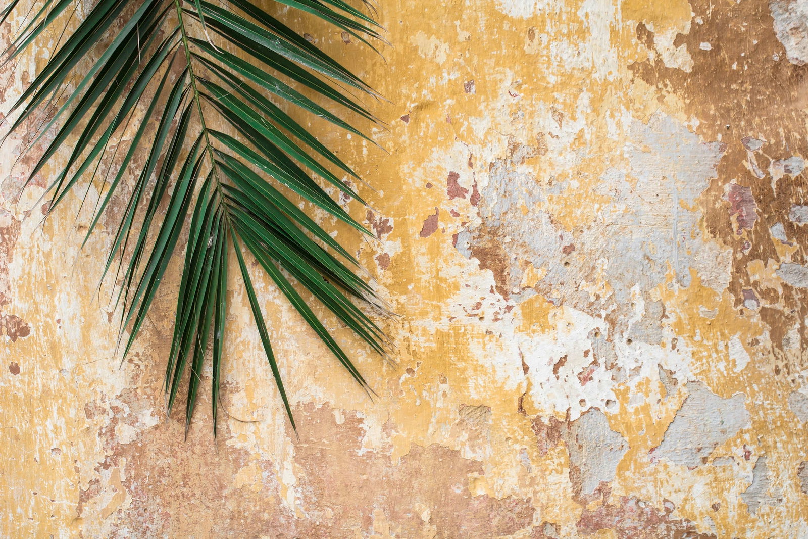 livingwalls Фотообои XXL unique