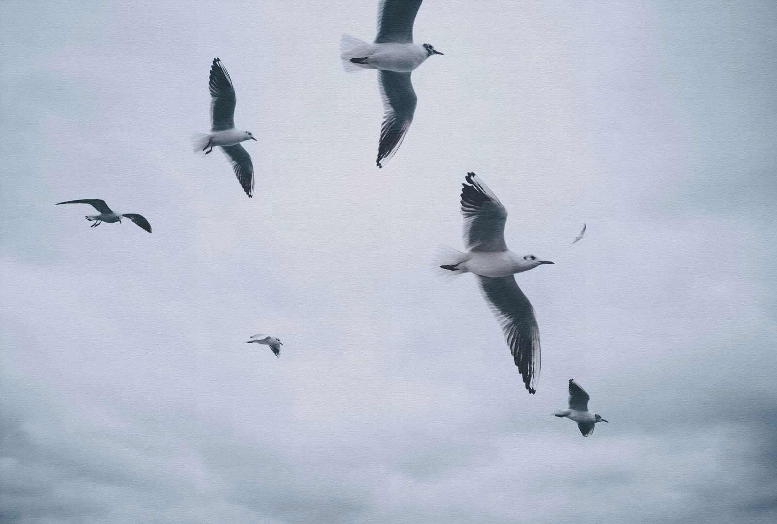 walls by patel Photo wallpaper Walls by Patel 5