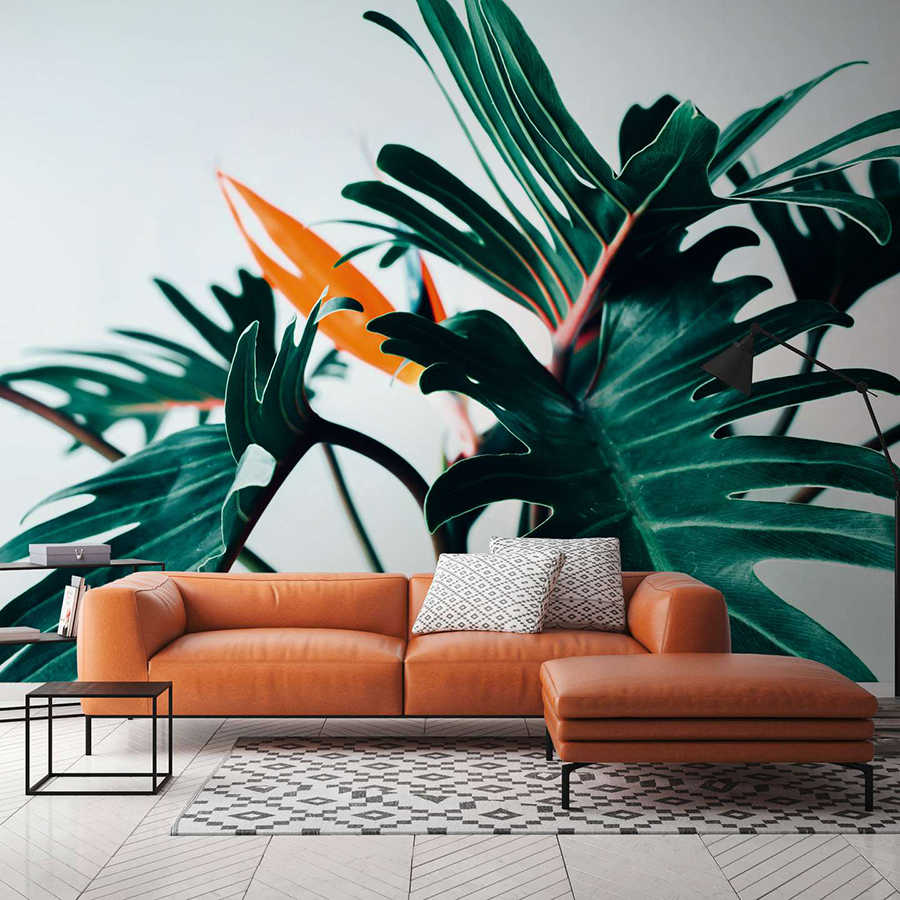 livingwalls Photo wallpaper Designwalls 2 livingwalls Photo wallpaper Designwalls 2