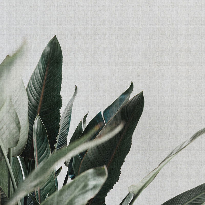 walls by patel Photo wallpaper Walls by Patel 2