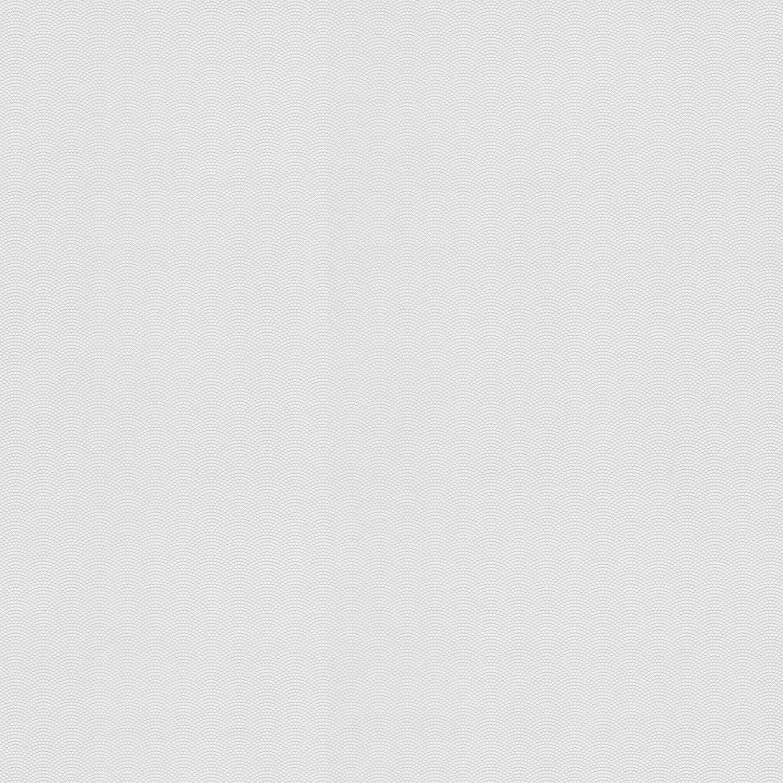 A.S. Création Behang Meistervlies Create
