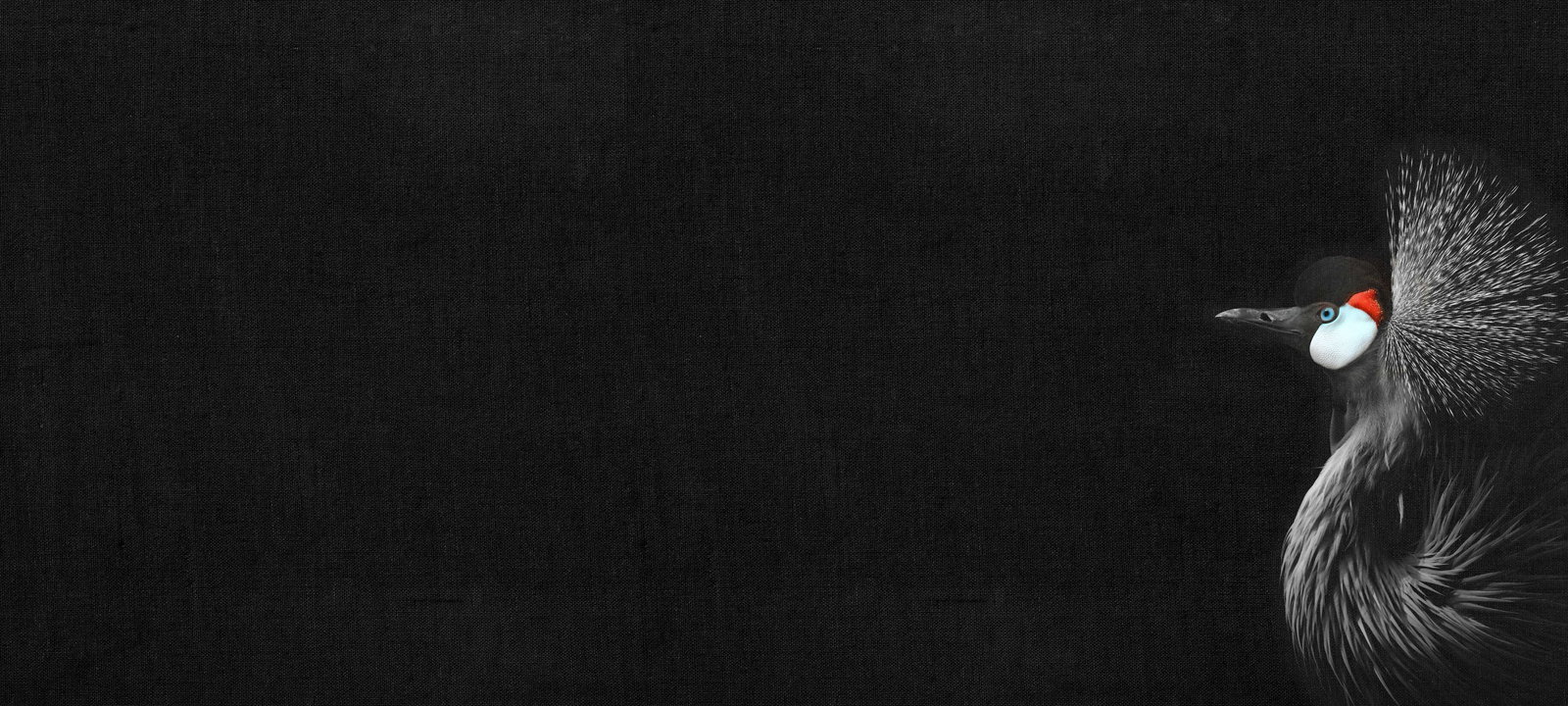 livingwalls Фотообои ARTist