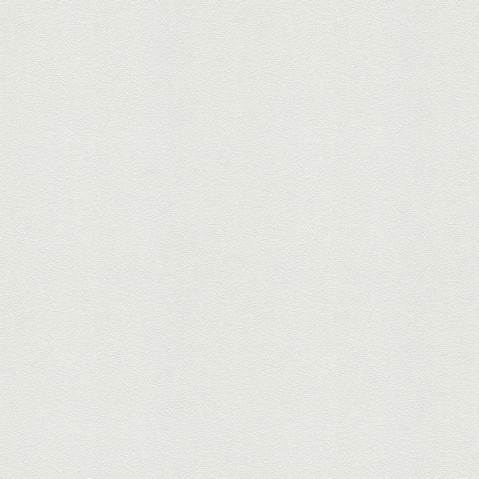 A.S. Création Tapete Meistervlies Create A.S. Création Tapete Meistervlies Create