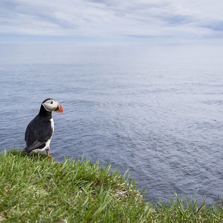 Architects Paper Photo wallpaper AP Digital 2