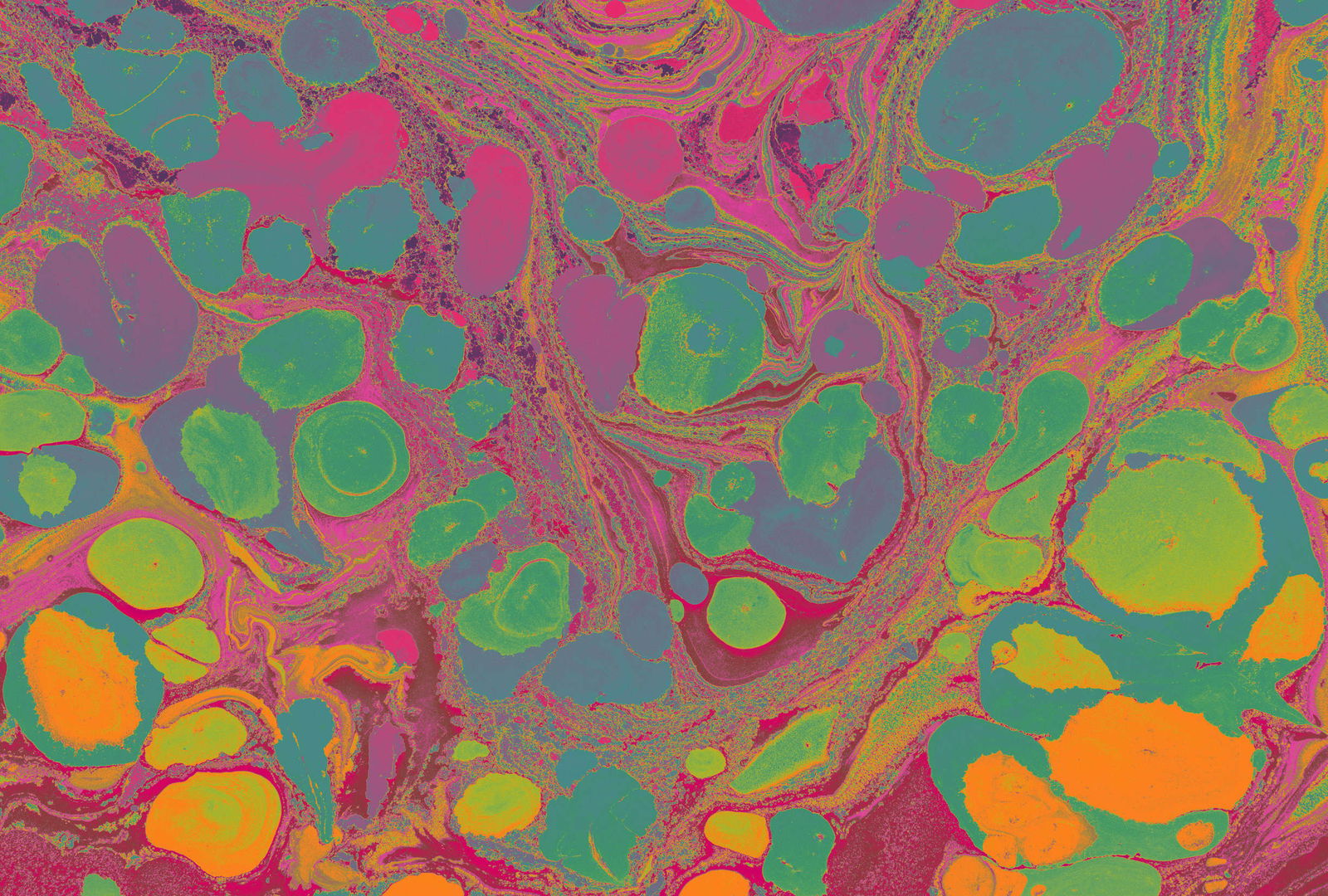 walls by patel Фотообои Walls by Patel 4