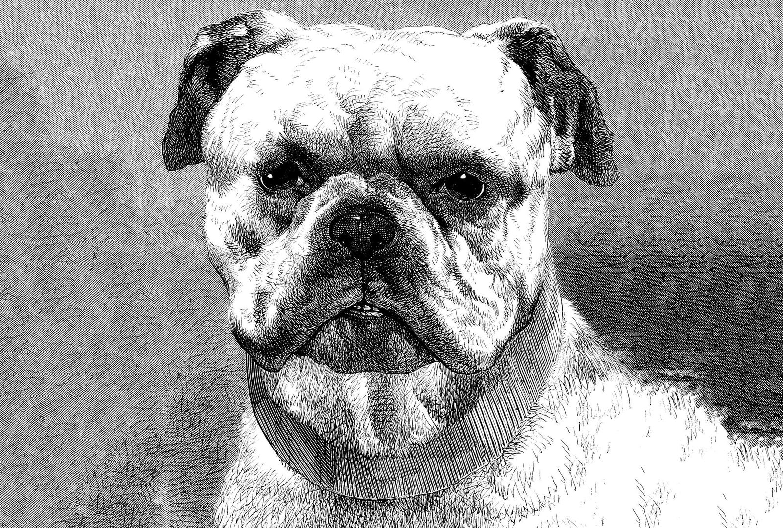 Architects Paper Фотообои AP Digital 4