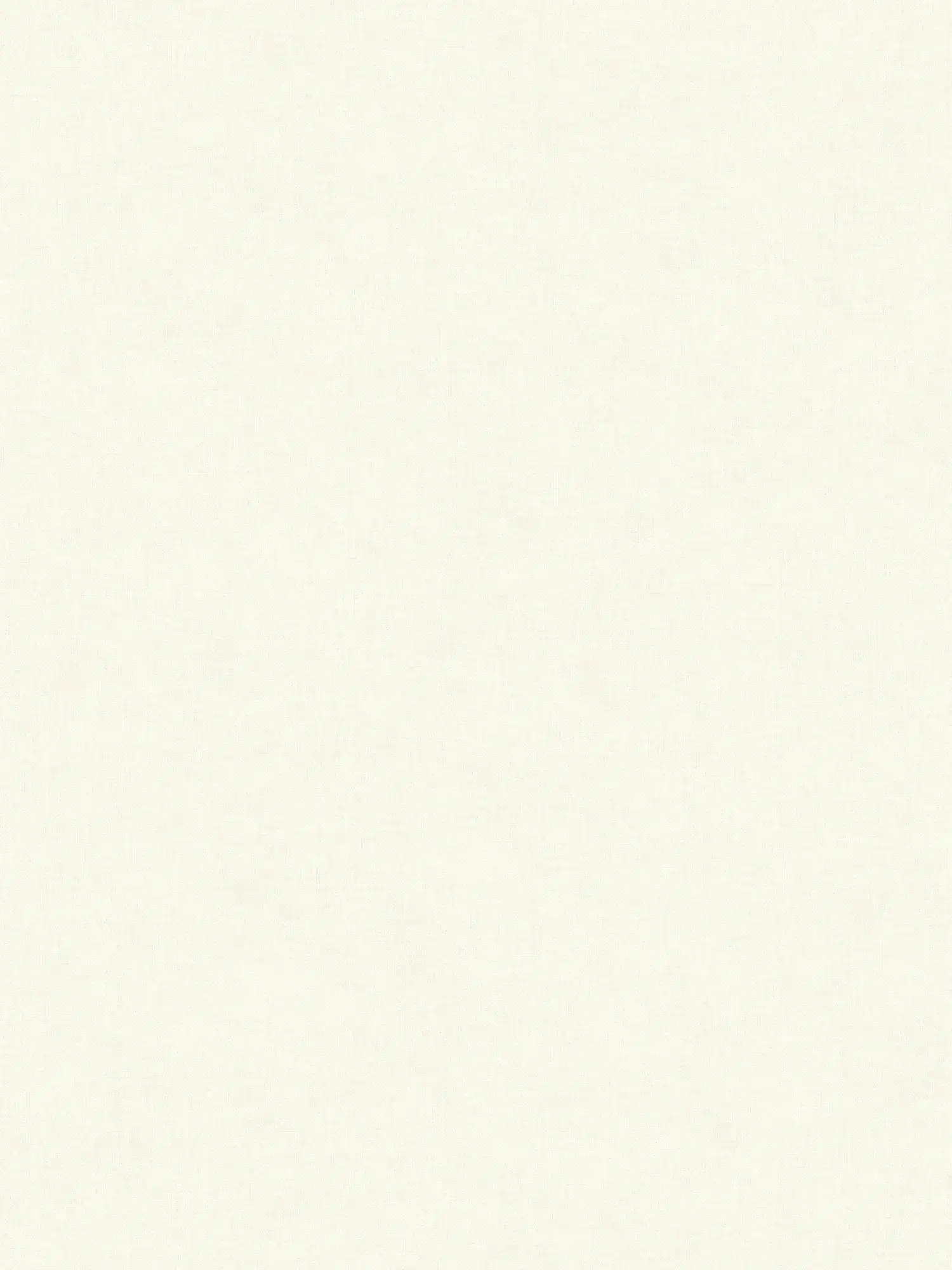 A.S. Création Wallpaper Designed in White
