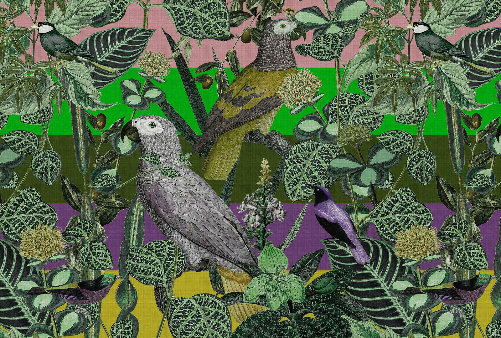 walls by patel Fototapete Walls by Patel 4 walls by patel Fototapete Walls by Patel 4