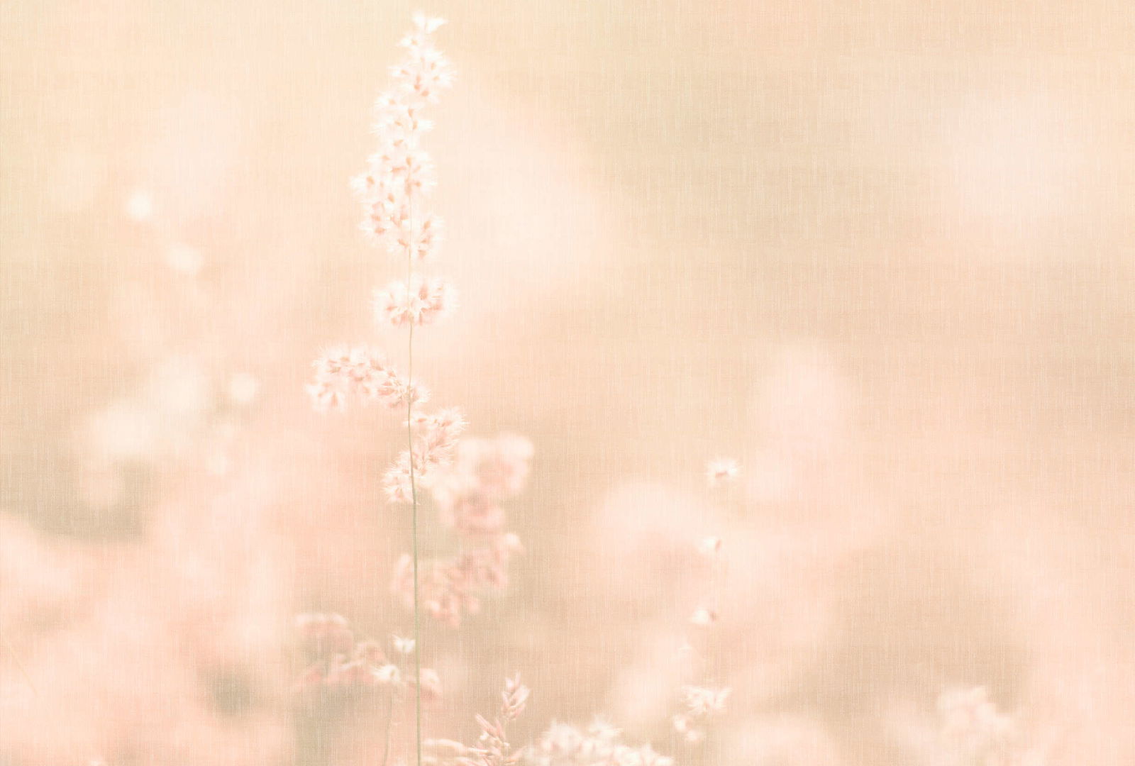 walls by patel Fotobehang Walls by Patel 5