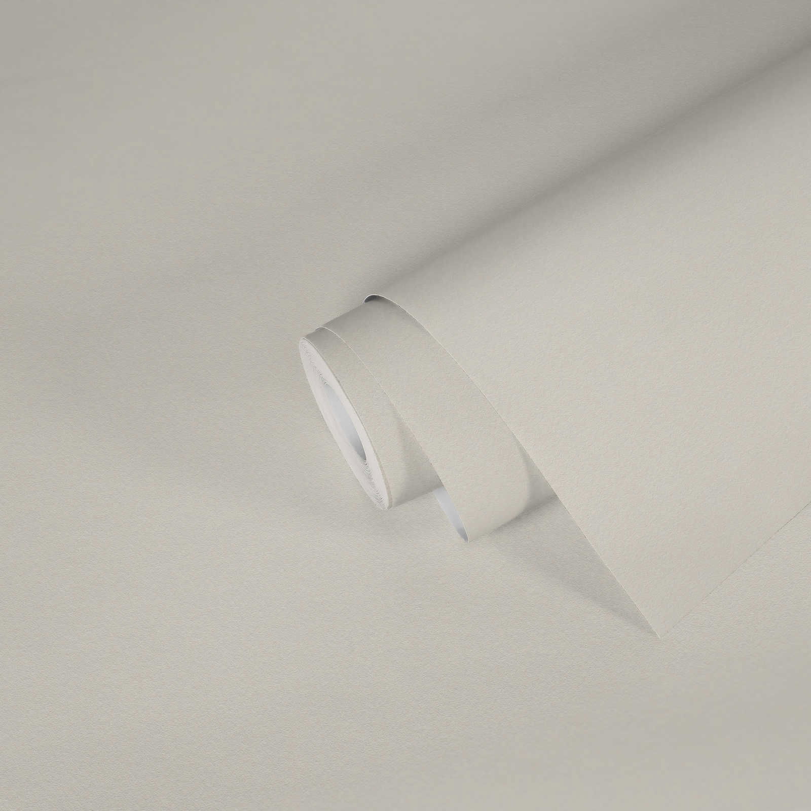 A.S. Création Behang Shades of White