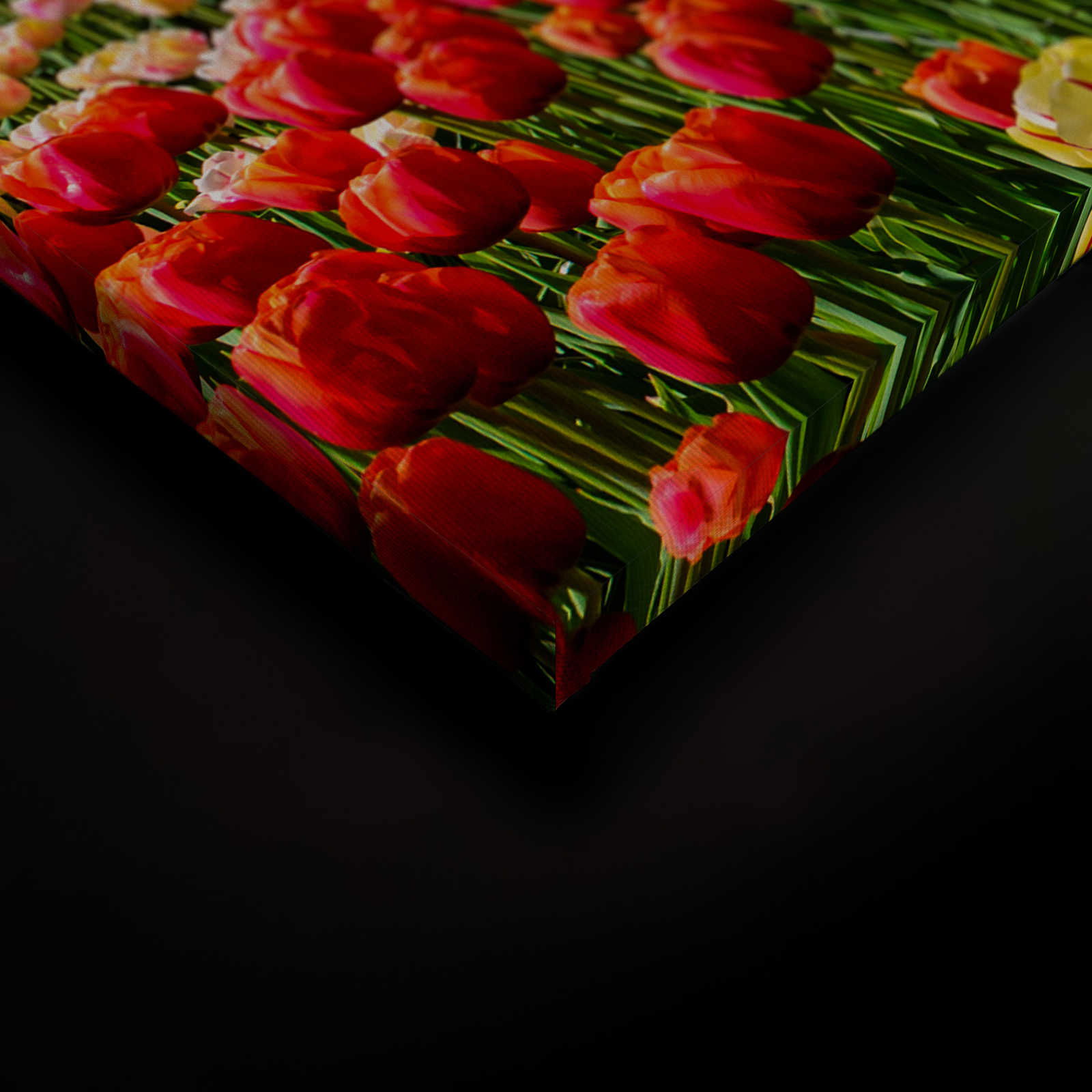 livingwalls tableau sur toile Designwalls livingwalls tableau sur toile Designwalls