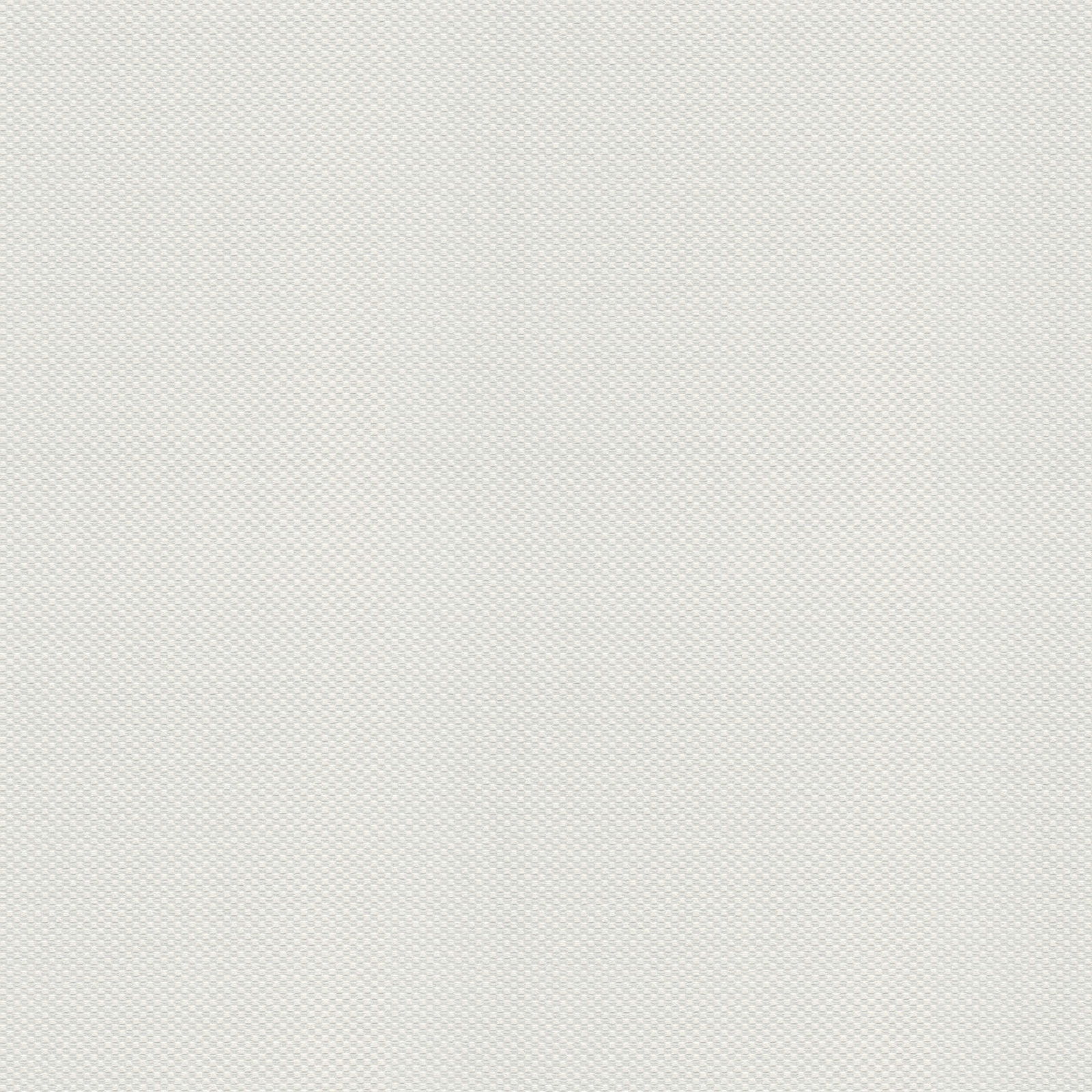 A.S. Création Tapete Meistervlies Create