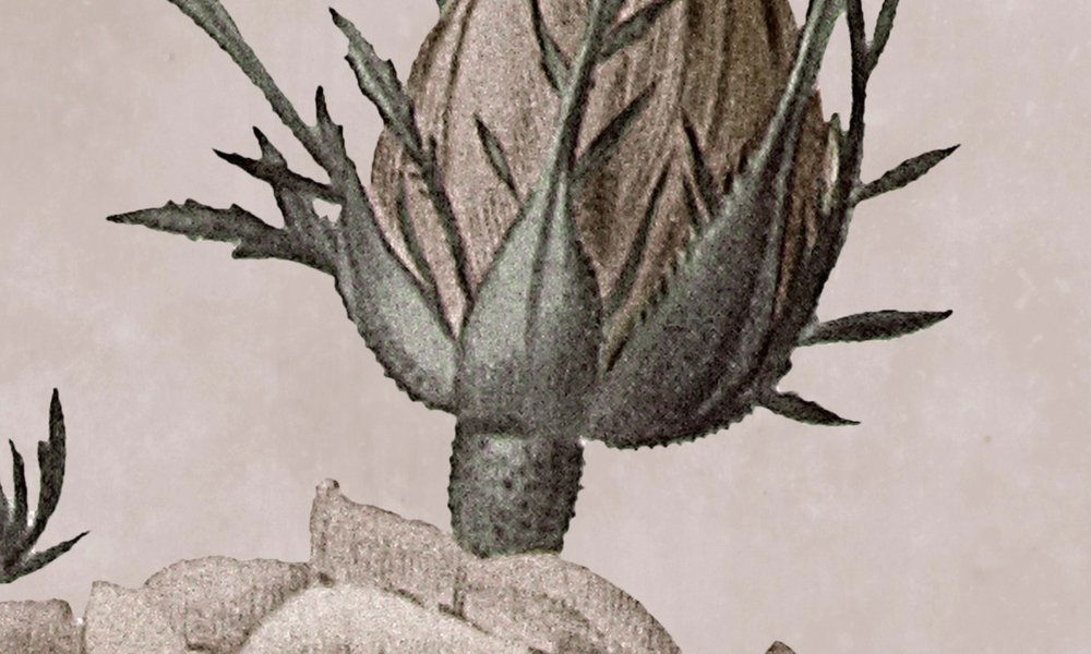 walls by patel impression numérique Walls by Patel