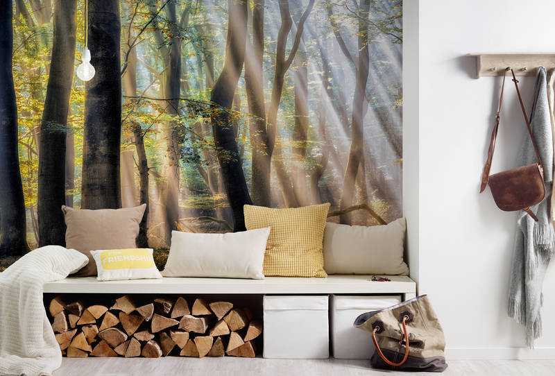 Architects Paper Фотообои AP Digital 4