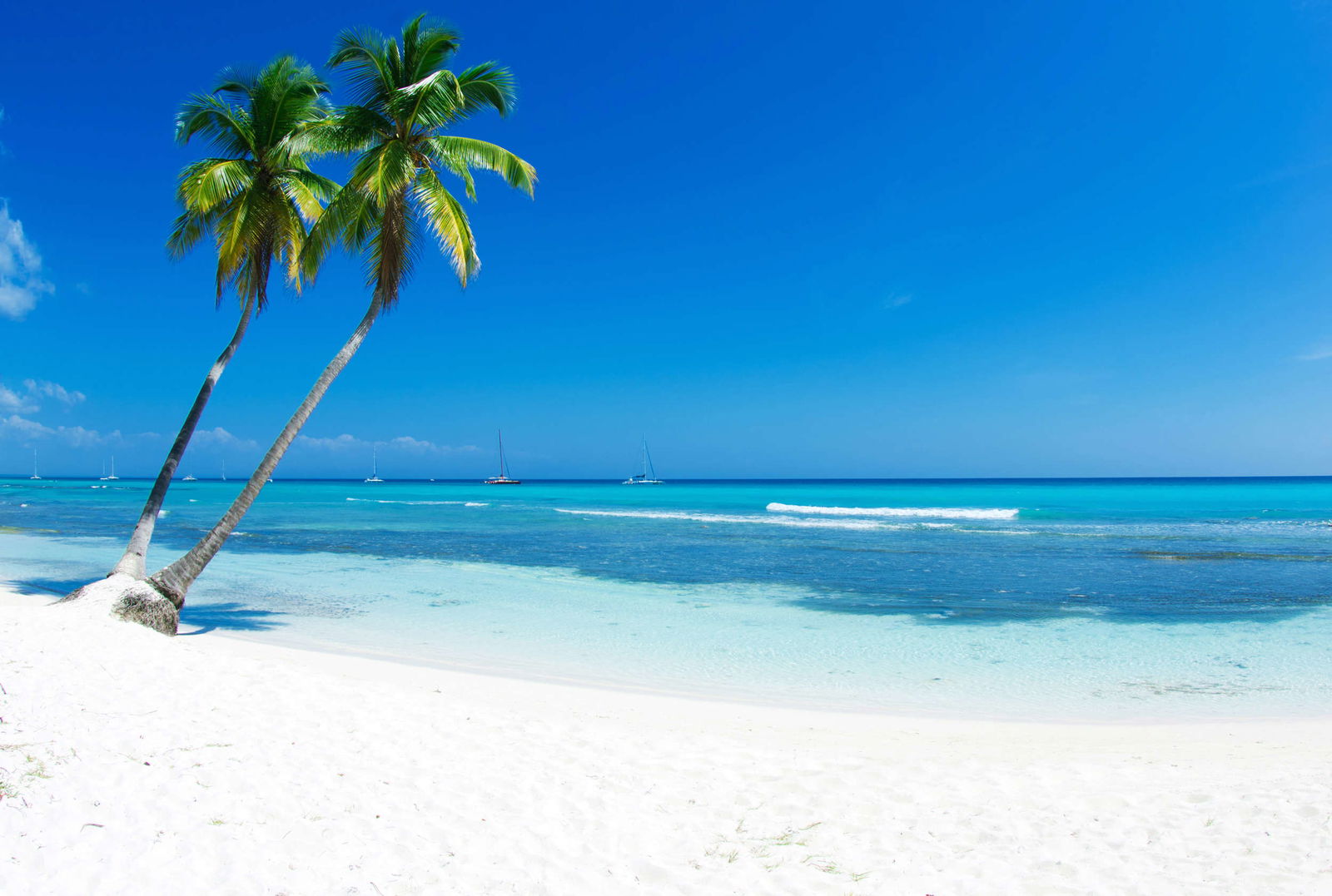 livingwalls impression numérique XXLwallpaper 3