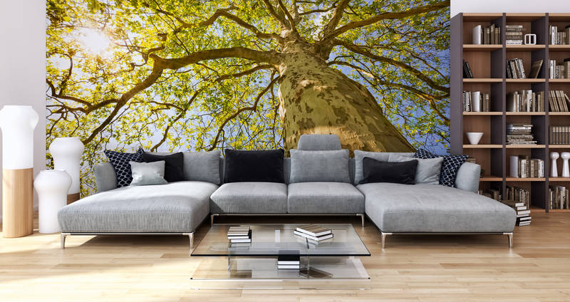 livingwalls Фотообои XXLwallpaper 2