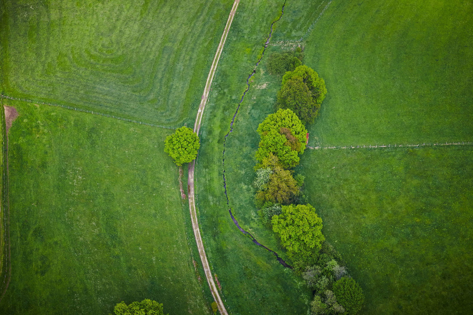 Architects Paper impression numérique AP Digital 2