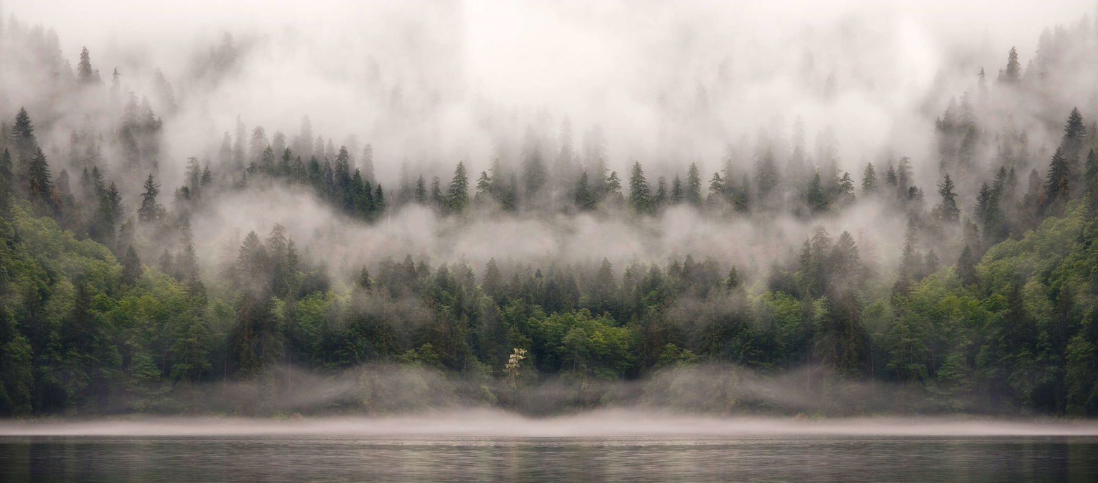 livingwalls Fototapete Designwalls 2