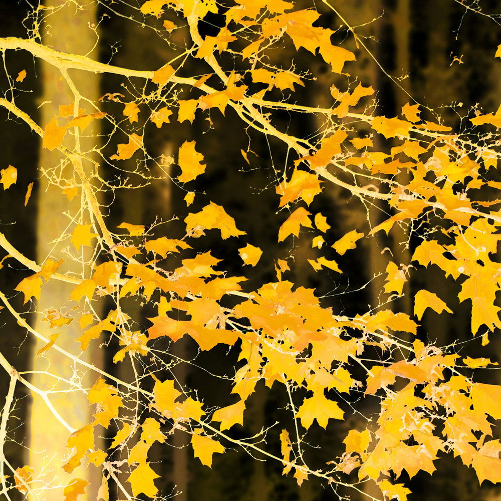 Architects Paper Fotobehang AP Digital 4