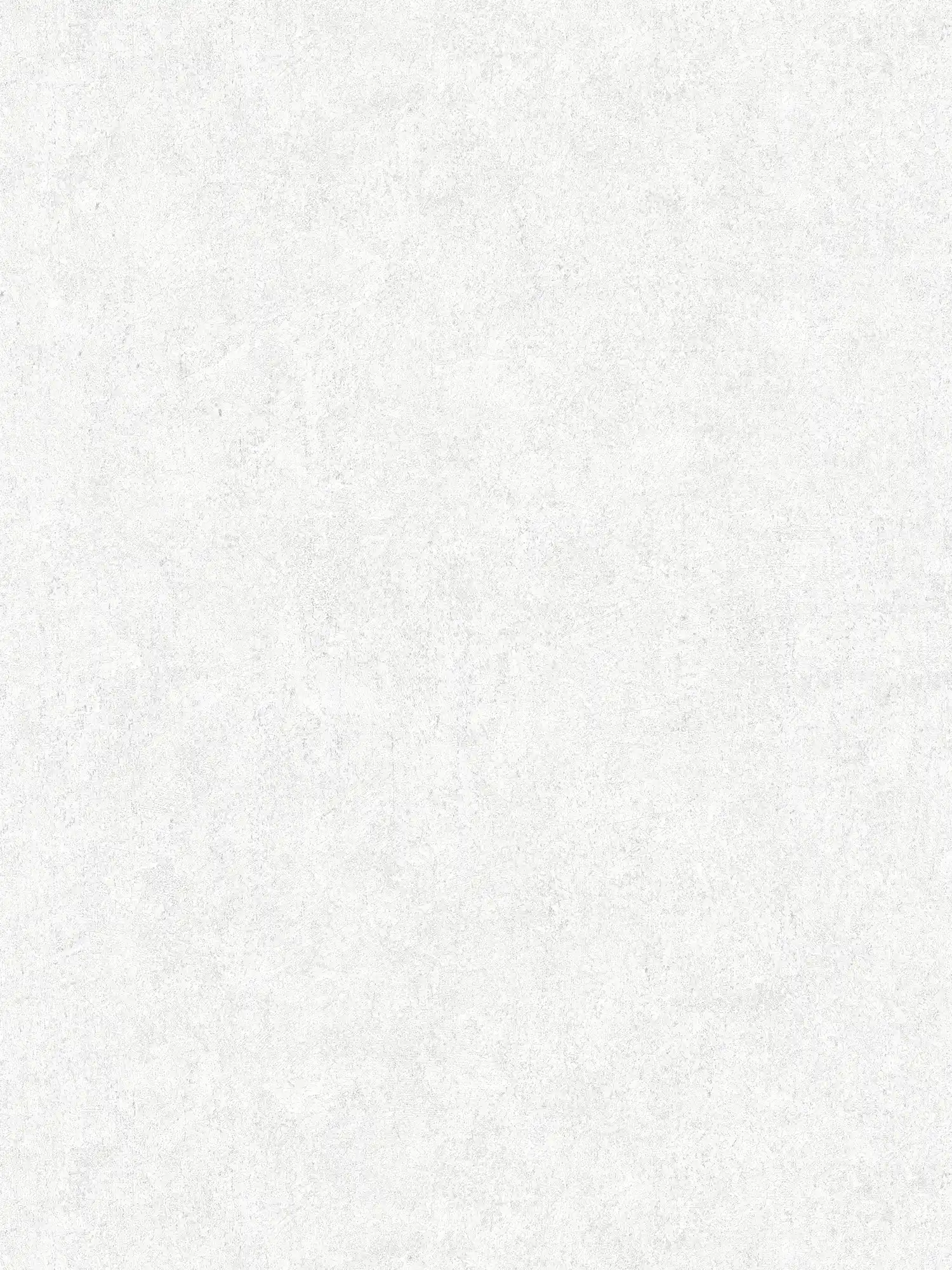 A.S. Création Обои Beton 2 A.S. Création Обои Beton 2