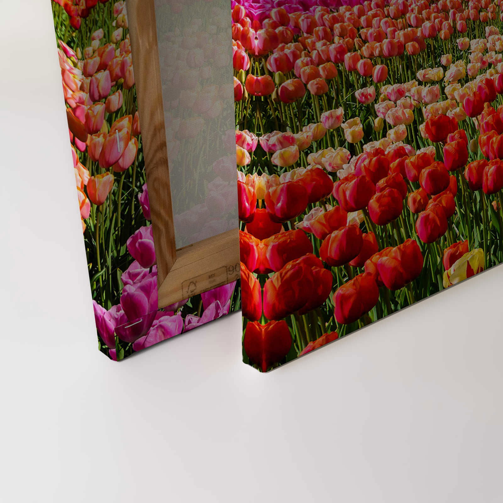 livingwalls tableau sur toile Designwalls livingwalls tableau sur toile Designwalls