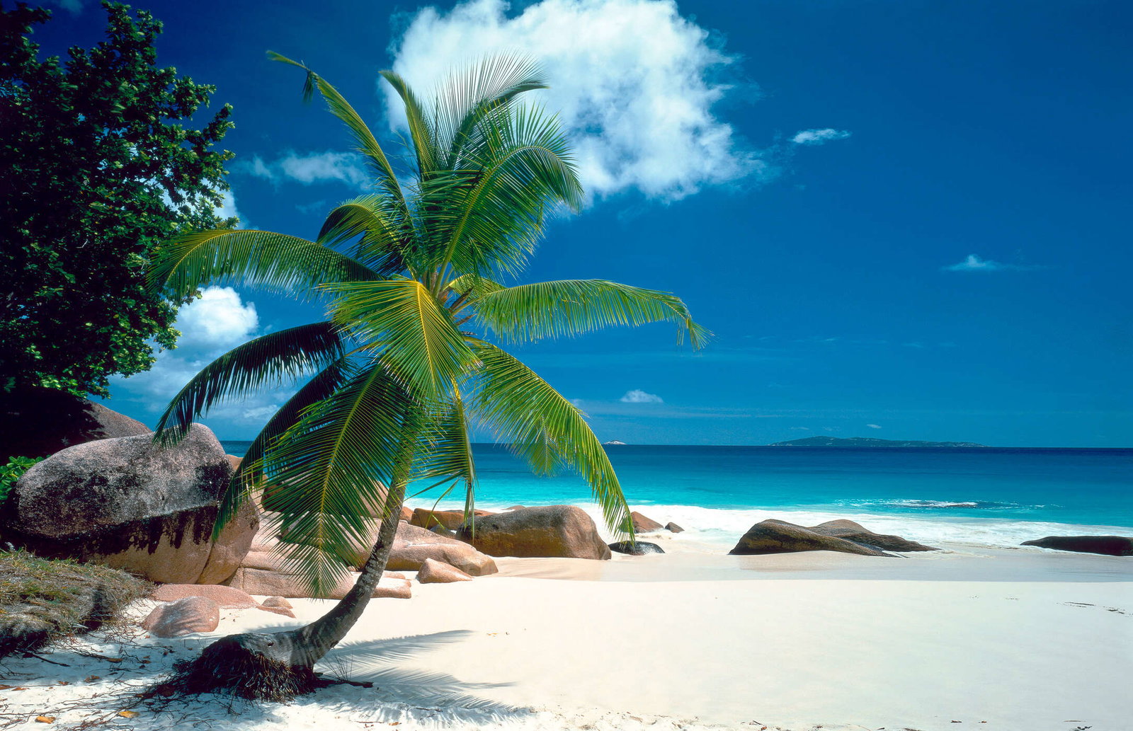 livingwalls Fototapete XXLwallpaper 2