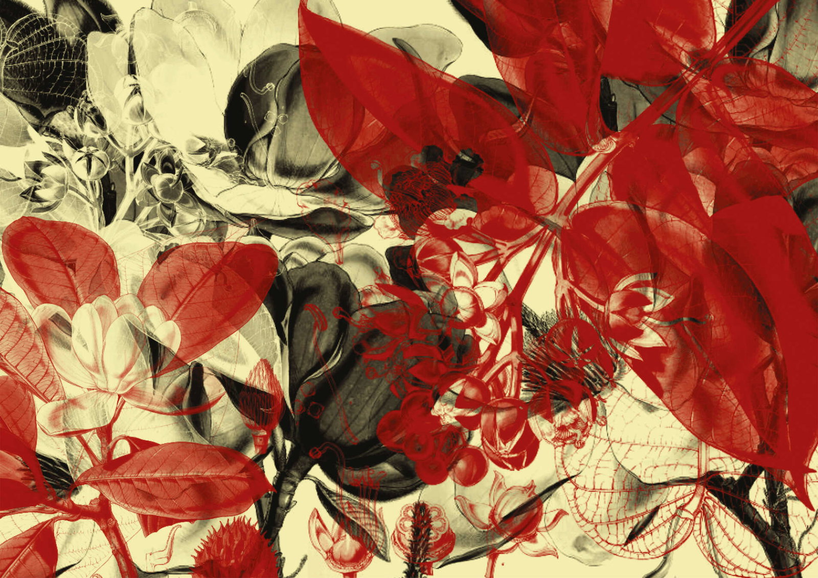 Architects Paper Fotobehang AP Digital