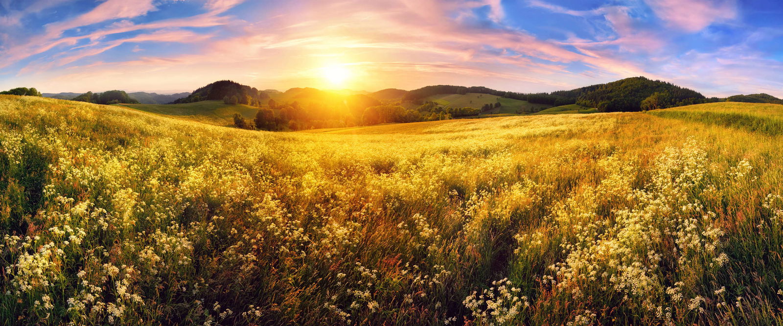 Architects Paper Photo wallpaper AP Digital 3